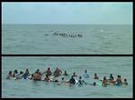 (16) paddle out montage.jpg    (1000x740)    266 KB                              click to see enlarged picture
